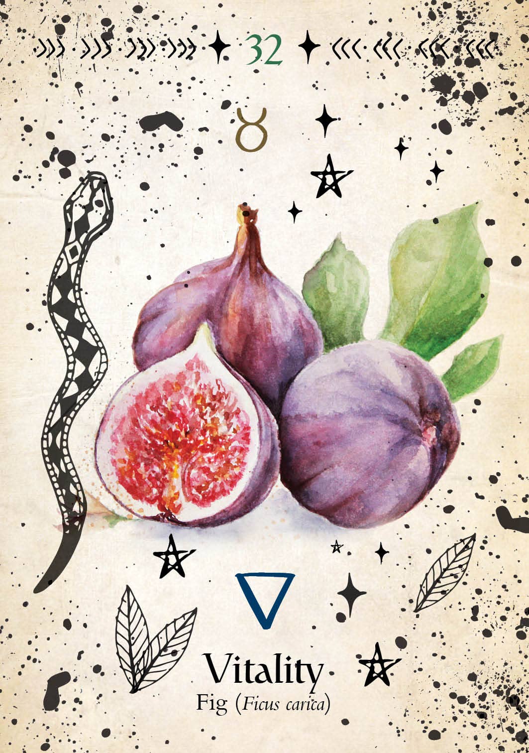 Green Witch Oracle: 44 Full-Color Cards & 144-Page Guidebook