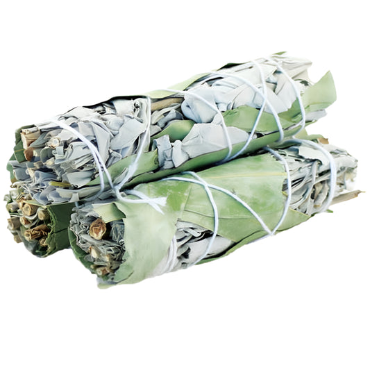 SMUDGE STICK - White Sage and Eucalyptus 10cm