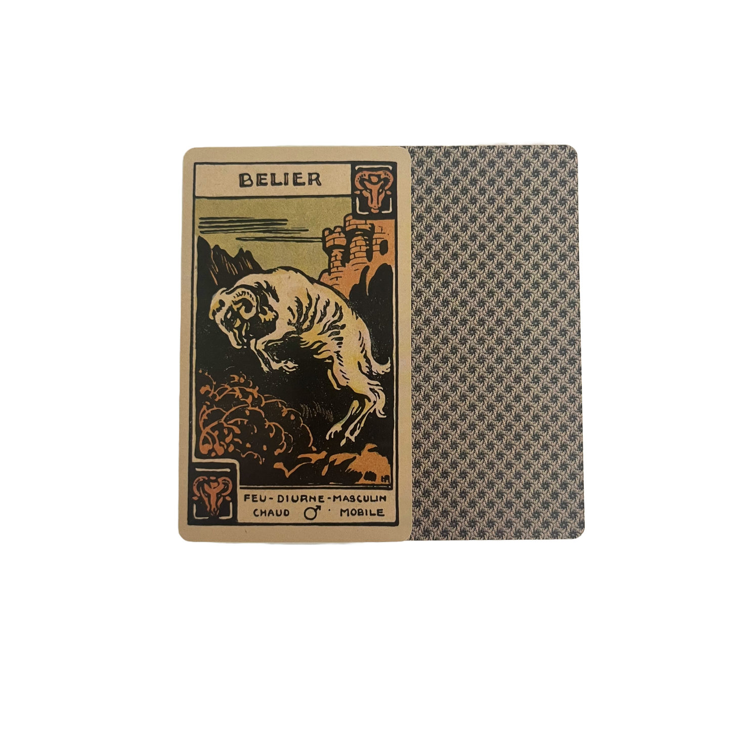 Astrological Tarot Deck with Guidebook