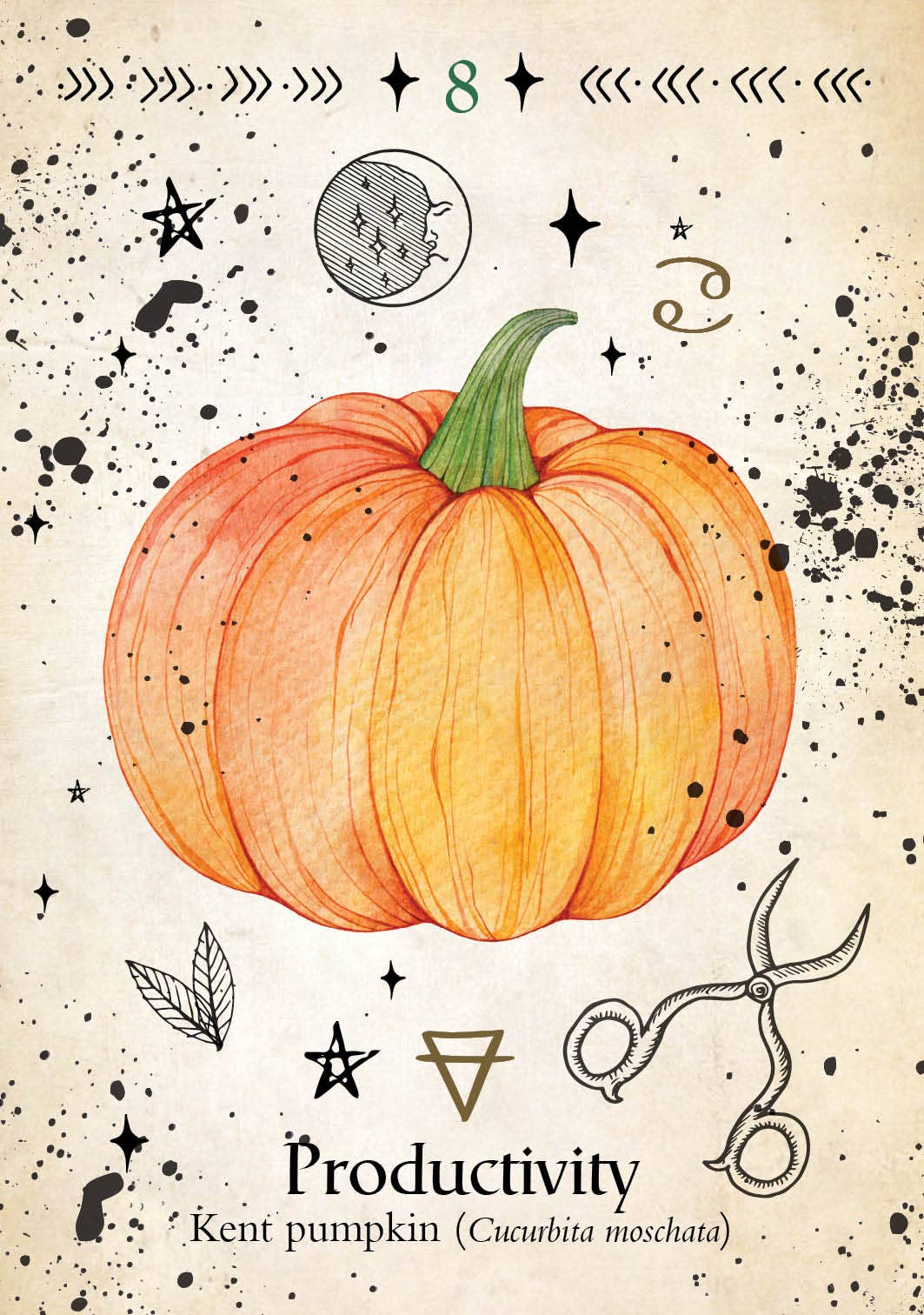 Green Witch Oracle: 44 Full-Color Cards & 144-Page Guidebook